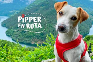 Pipper, el popular perro influencer que da la vuelta a España para promover la integración de las mascotas en transportes, hostelería y atracciones turísticas, protagoniza un espacio de viajes en La2 junto a su humano, Pablo Muñoz Gabilondo